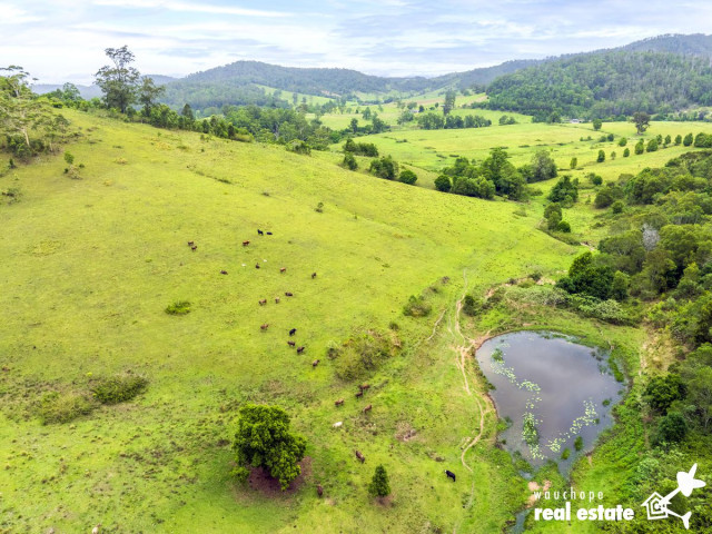 Port Macquarie | 130ha River Estate | Platypus | Dual Living 